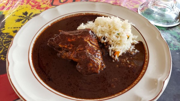 Fonda Florecita by null