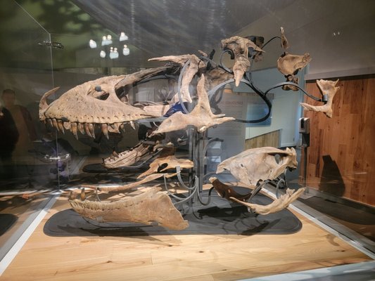 Royal Tyrrell Museum by null