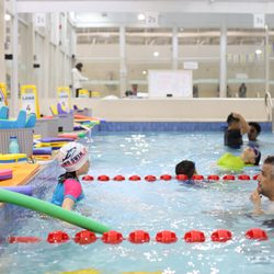 WD Swimming School