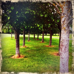 Deer park