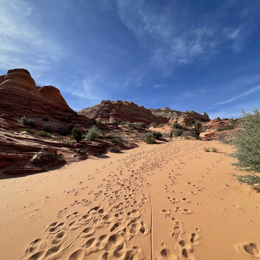 The Wave - En route to The Wave - Landmarks & Historical Buildings Near Me - Kanab, Utah The Wave - En route to The Wave - Landmarks & Historical Buildings Near Me - Kanab, Utah