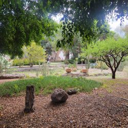 Jardines del  Paseo de San Francisco