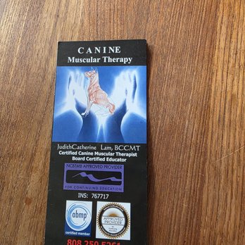 Canine Visions - Holistic Animal Care Near Me - Kihei, Hawaii Canine Visions - Holistic Animal Care Near Me - Kihei, Hawaii