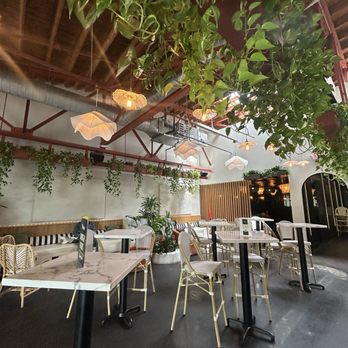 Folia - Seating - Lounges Near Me - Charlotte, North Carolina