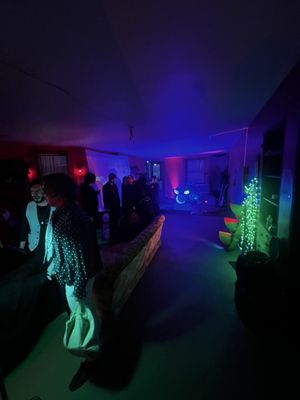 The Franklin Castle (Hannes Tiedemann House) by null