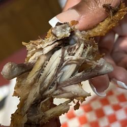 OOOWWWEEE Wangz N Catfish - Would you eat this?