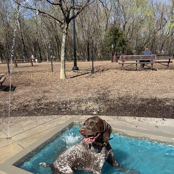 McKinney Dog Park - Dog Parks Near Me - McKinney, Texas