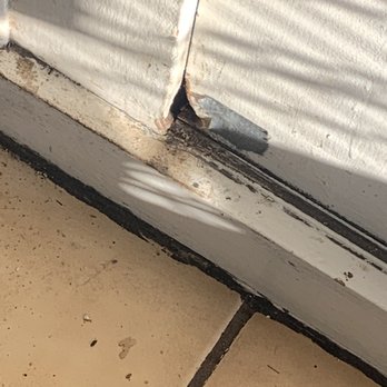 Vace - Mouse poop - Pizza Near Me - Washington, DC, District of Columbia Vace - Mouse poop - Pizza Near Me - Washington, DC, District of Columbia
