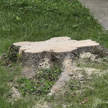 Thebeau Outdoor Services - End results perfect - Tree Services Near Me - Belleville, Illinois Thebeau Outdoor Services - End results perfect - Tree Services Near Me - Belleville, Illinois