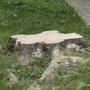 Photo of Thebeau Outdoor Services