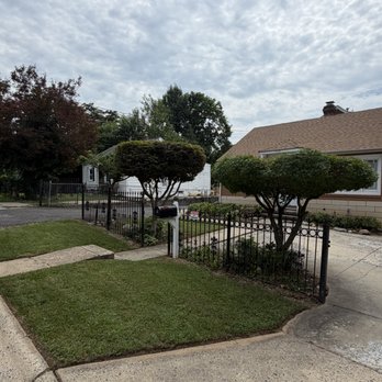Grasshopper Landscaping - Yard cleaned up - Lawn Services Near Me Grasshopper Landscaping - Yard cleaned up - Lawn Services Near Me