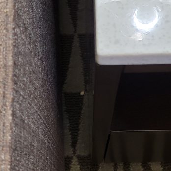 Hilton Phoenix Airport - Crumbs next to sofa - Hotels Near Me - Phoenix, Arizona Hilton Phoenix Airport - Crumbs next to sofa - Hotels Near Me - Phoenix, Arizona