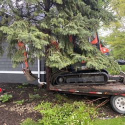 Allan E. Power Plumbing