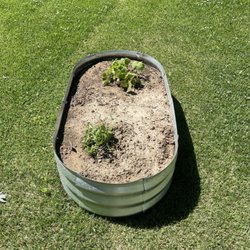 Earth First - Dirt in a steel galvanized garden planter.