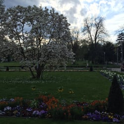 Kurpark - Frühling im Kurpark... herrlich !!!