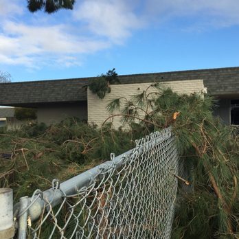 Eduardo Tree Service - Tree Services Near Me - Pico Rivera, California Eduardo Tree Service - Tree Services Near Me - Pico Rivera, California