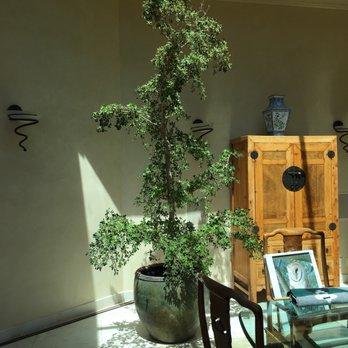 Hamilton Orchids & Plantscapes - Interior Design Near Me Hamilton Orchids & Plantscapes - Interior Design Near Me