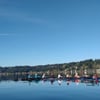 Sammamish Rowing Association gift card