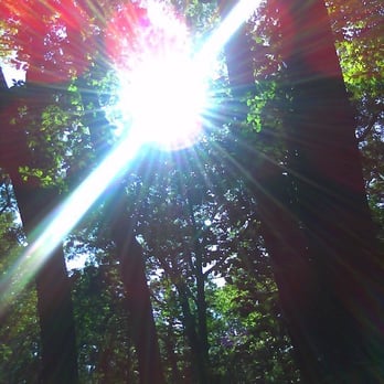 Forest Park - Nature Doin its amazing thing and my lackluster camera phone trying to capture it - Parks Near Me - Woodhaven, New York Forest Park - Nature Doin its amazing thing and my lackluster camera phone trying to capture it - Parks Near Me - Woodhaven, New York