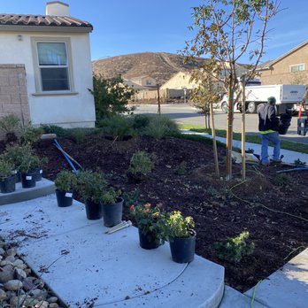 Moon Valley Nurseries - Nurseries & Gardening Near Me - Murrieta, California