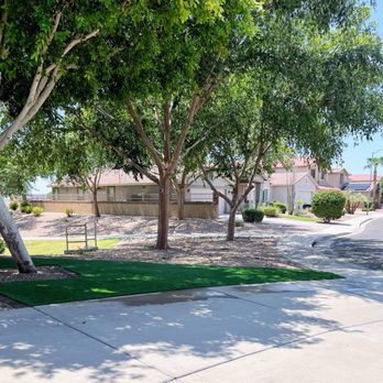 Astonishing Landscape & Design - Synthetic grass installation - Landscaping Near Me Astonishing Landscape & Design - Synthetic grass installation - Landscaping Near Me