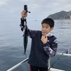 Adam's Memory Maker Fishing Charters - Bonito caught 7 of them