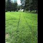 Reaper Lawns