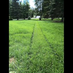 Reaper Lawns