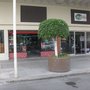 Photo of Game City