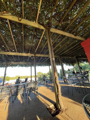 Augusta Winery by null