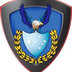 Allegiance Security