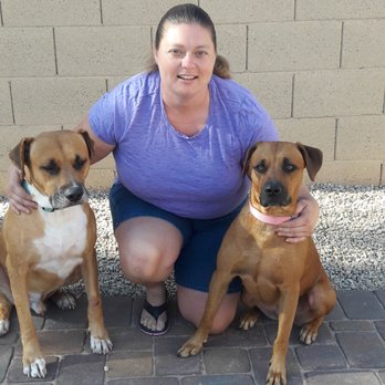 Families And Animals - Pet Training Near Me Families And Animals - Pet Training Near Me