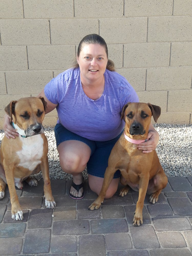 Families And Animals - pet boarding facility in Mesa, AZ