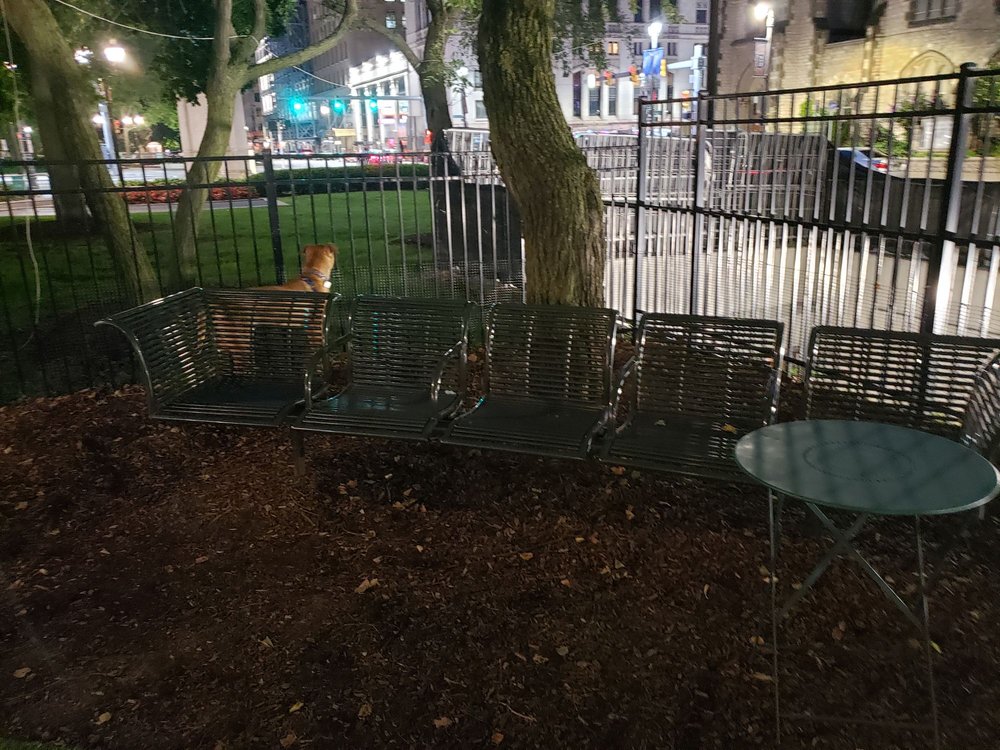 Grand Circus Park Dog Park