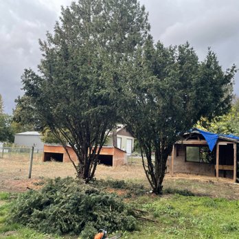 Winsome Landscaping - Let's get your trees back to looking clean! - Lawn Services Near Me