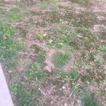 Oak Tree Property Management - Weeds and dirt - Property Management Near Me - Clovis, California