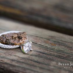Bryan Jonathan Weddings