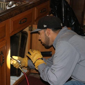 Atascosa Exterminating - Pest Control Near Me Atascosa Exterminating - Pest Control Near Me