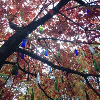 Rock City Park - Wine bottle tree - Parks Near Me - Olean, New York