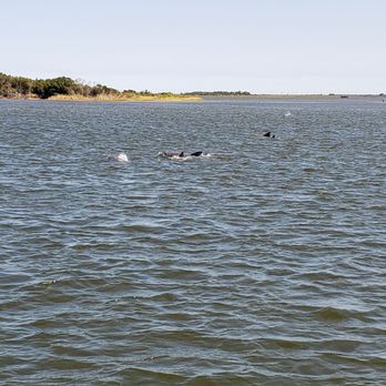 Captain Johnny's Dolphin Tours - Boat Tours Near Me - Manteo, North Carolina Captain Johnny's Dolphin Tours - Boat Tours Near Me - Manteo, North Carolina