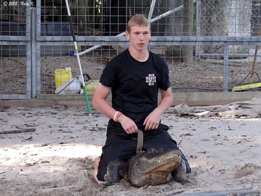 Everglades Outpost by null