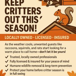 A&E Wildlife Removal