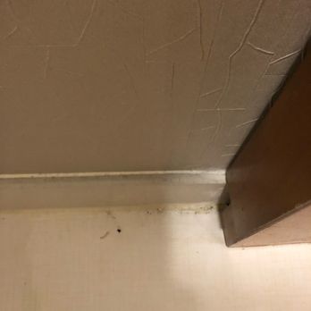 SpringHill Suites by Marriott Cincinnati Midtown - More dirt. - Hotels Near Me - Cincinnati, Ohio