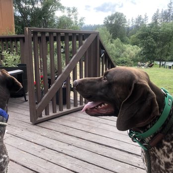 Lewiston Hotel Bar & Grill - Taco Tuesday on the dog patio! - Bars Near Me - Lewiston, California Lewiston Hotel Bar & Grill - Taco Tuesday on the dog patio! - Bars Near Me - Lewiston, California