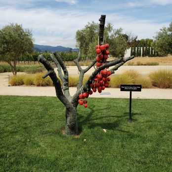 HALL Wines - Wineries Near Me - Saint Helena, California HALL Wines - Wineries Near Me - Saint Helena, California