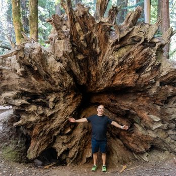 Jedediah Smith Redwoods State Park - Parks Near Me