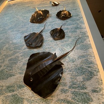Marriott Grand Cayman - The stingray welcome wall! - Resorts Near Me - Salinas, California