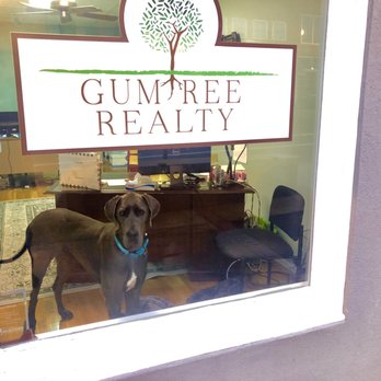 GumTree Realty - Homes For Sale, North Mississippi Home Buyers, Real Estate Agents - Real Estate Agents Near Me - Tupelo, Mississippi GumTree Realty - Homes For Sale, North Mississippi Home Buyers, Real Estate Agents - Real Estate Agents Near Me - Tupelo, Mississippi