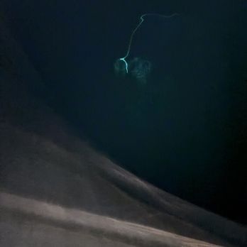 Colorado Lagoon - Bioluminescent fireworm - Swimming Pools Near Me - Long Beach, California
