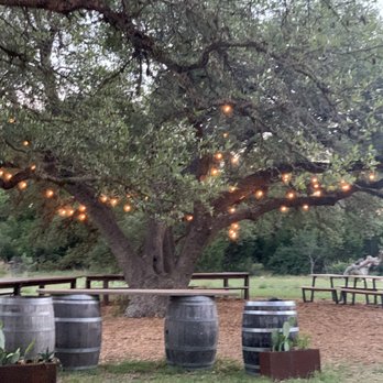 Vista Brewing - Really cool canopy of trees with string lights and barrel tables. Perfect romantic spot or fun group photo opt! - Breweries Near Me - Driftwood, Texas Vista Brewing - Really cool canopy of trees with string lights and barrel tables. Perfect romantic spot or fun group photo opt! - Breweries Near Me - Driftwood, Texas
